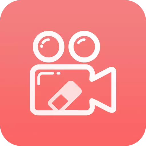 视频去水印大师