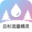 云杉流量精灵